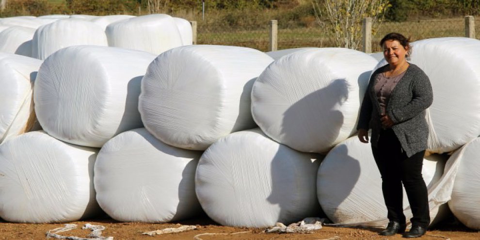 Günde 200 ton üretiyor! Tüm kent ondan alıyor