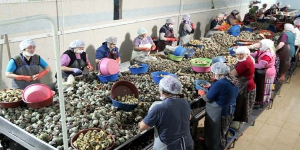 5 milyon dolar kazandırdı