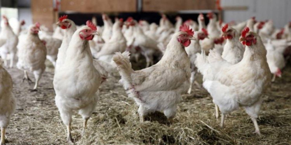 Terörün beli kırıldı, Güneydoğu dünyaya açıldı