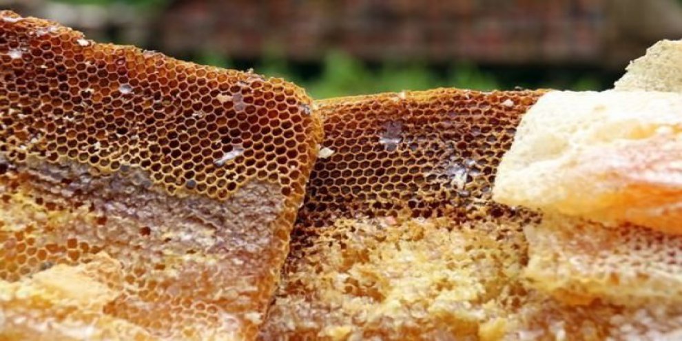 10 milyon euro bütçe ile kuruluyor