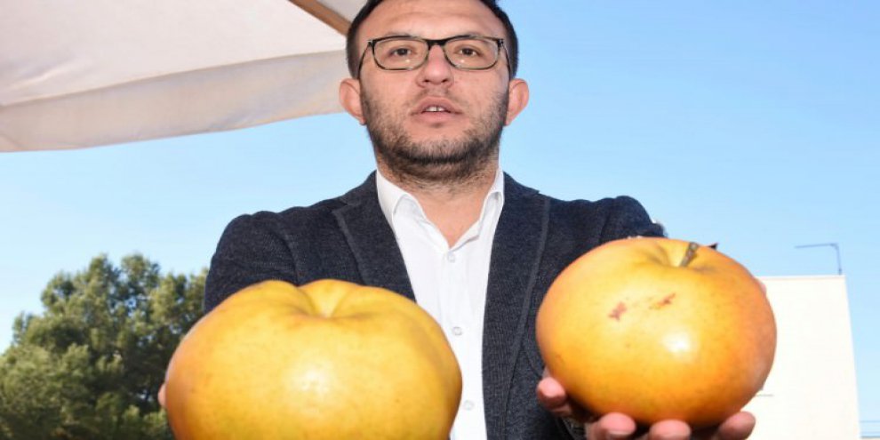 7 meyvenin özelliği var! Fiyatı gören hemen alıyor