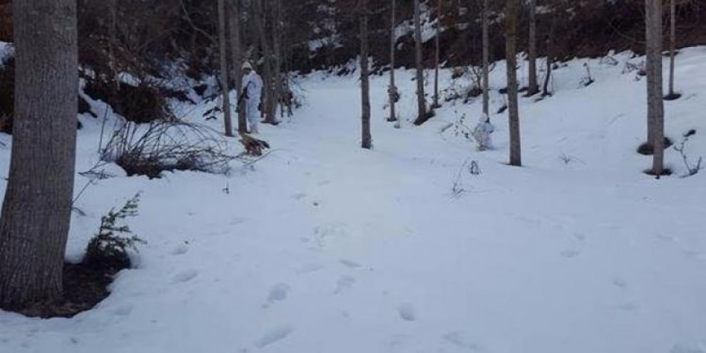 Gece 02.00'de operasyon düzenlendi: 5 terörist...