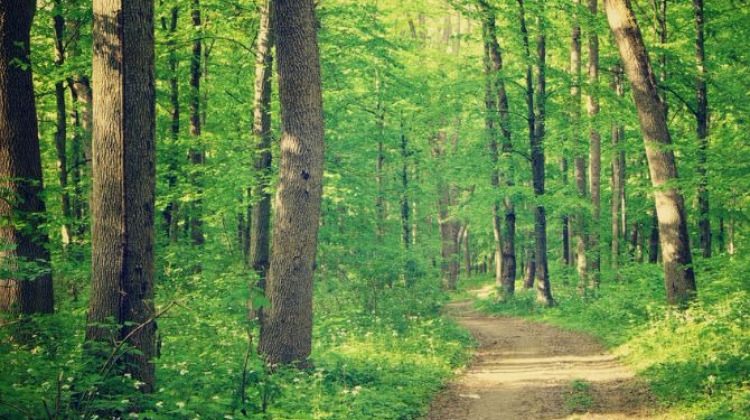Telefonunu arıyordu! Öyle bir şey buldu ki..