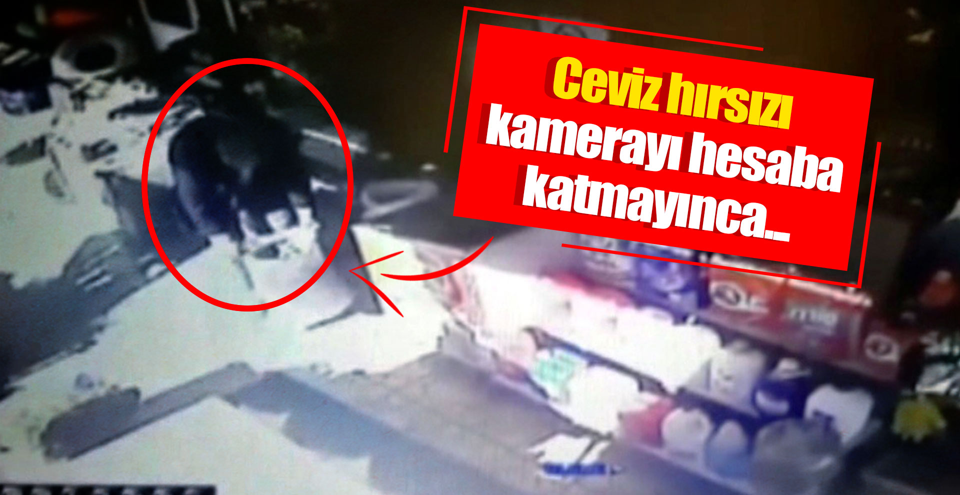 Ceviz hırsızı kamerayı hesaba katmayınca...