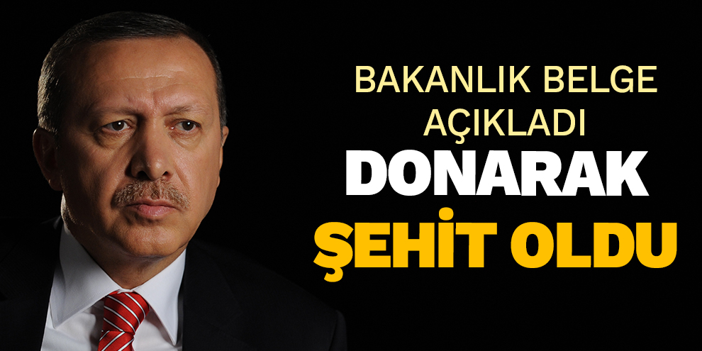 Bakanlık belge açıkladı! Donarak şehit oldu