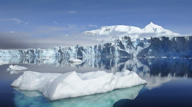 Tüm dünyayı bekleyen büyük tehlike!