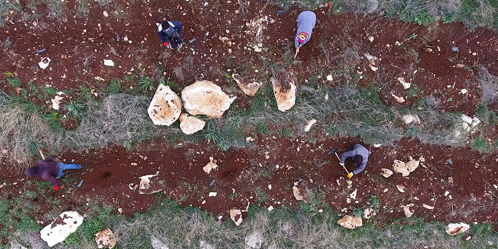 Yanan fidanların yerine badem fidanları dikildi