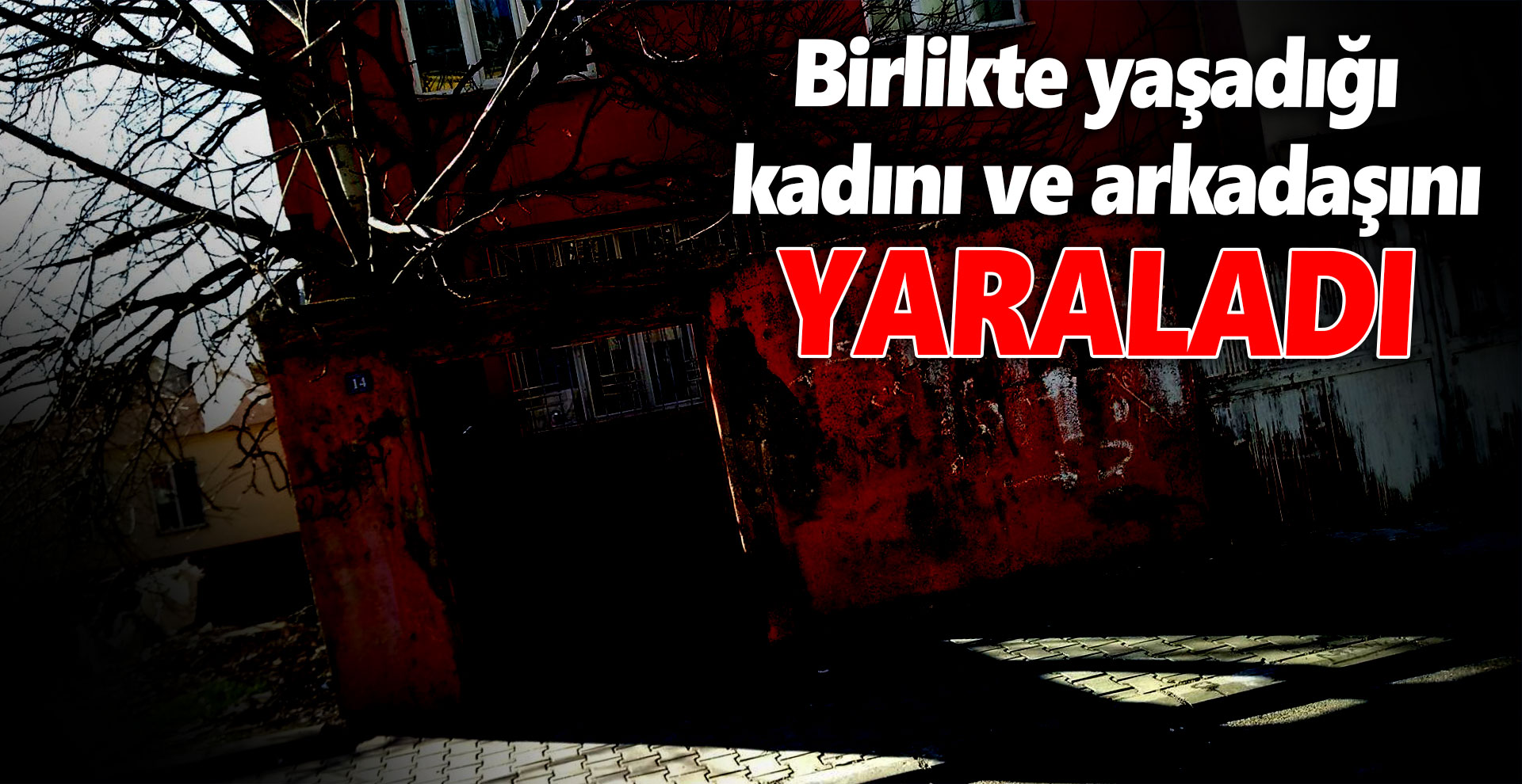 Birlikte yaşadığı kadını ve arkadaşını yaraladı