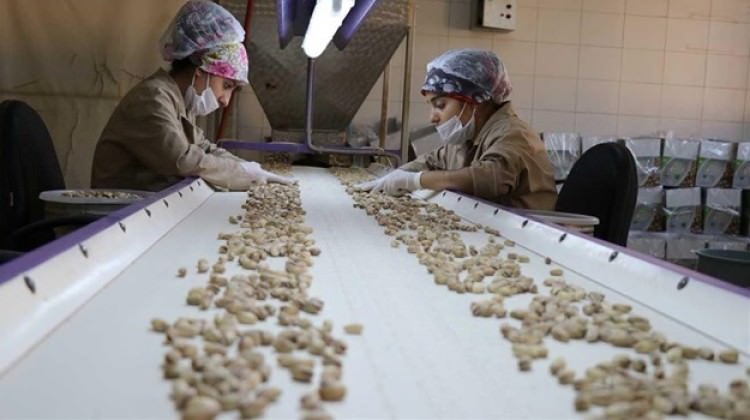 Fiyatı 55 liradan 122 liraya çıktı