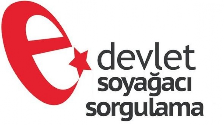 Soyağacı sorgulama ne zaman açılacak?