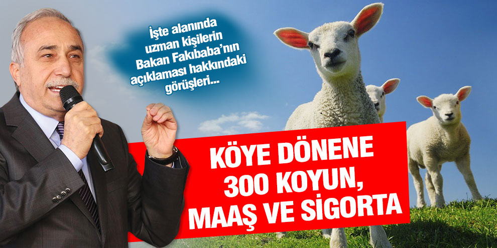 Köye dönene 300 koyun, maaş ve sigorta