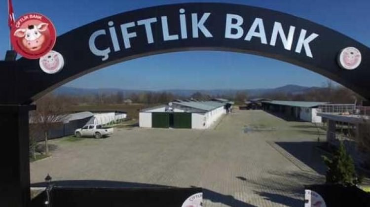 Bakanlık açıkladı! Nitelikli dolandırıcılık!