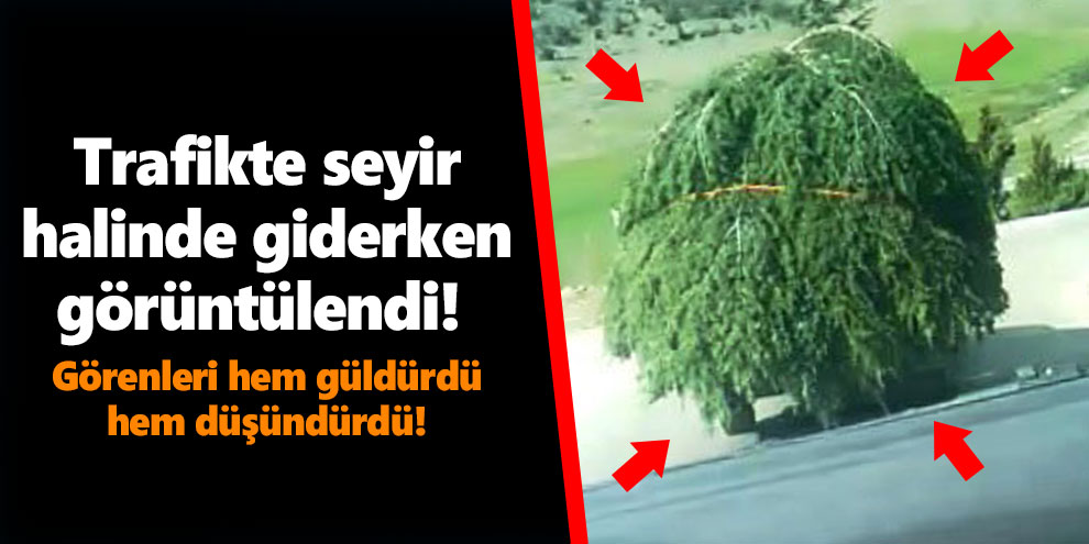 Trafikte seyir halinde giderken görüntülendi!