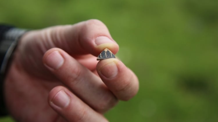 Her yerden fışkırıyor: Tarihe ışık tutacak