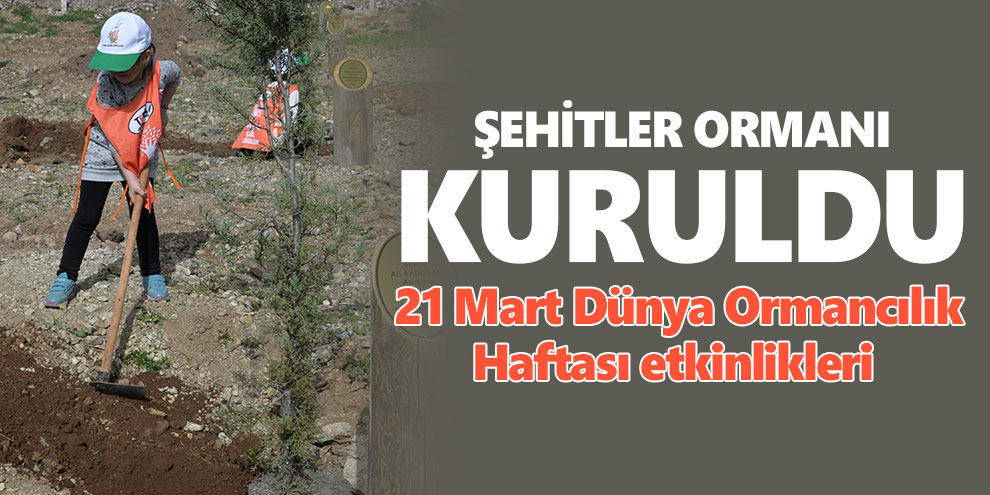 Şehitler Ormanı kuruldu