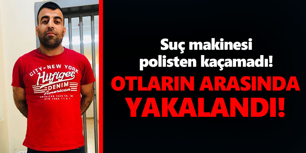 Suç makinesi polisten kaçamadı! Otların arasında yakalandı!