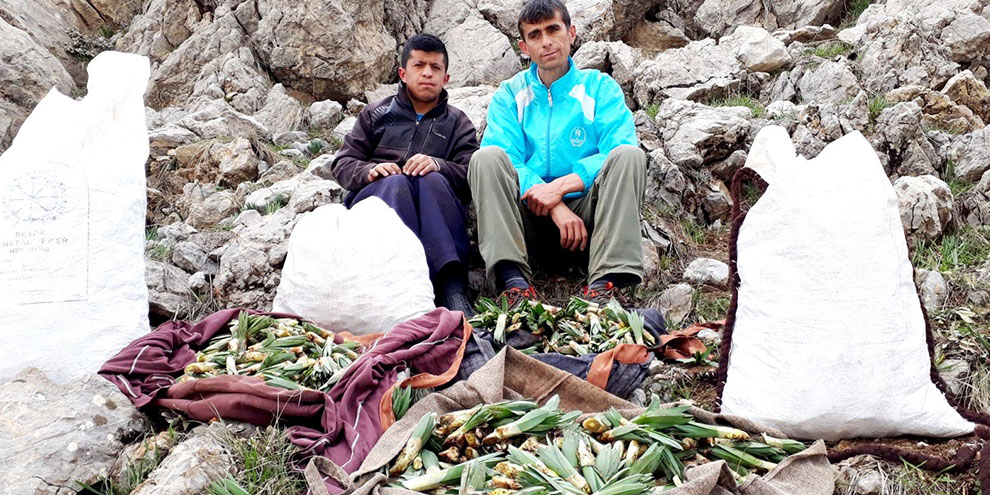 Kahramanmaraş’ın altın lezzeti ‘’çiriş”