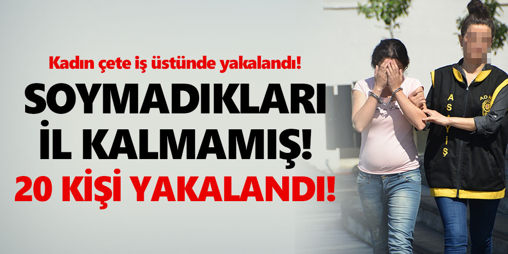Soymadıkları il kalmamış! 20 kişi yakalandı!