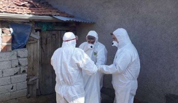 Kuş gribi kabusu geri mi dönüyor?