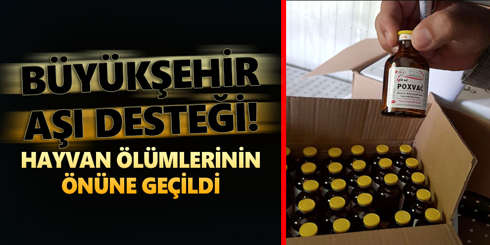 Büyükşehir aşı desteği! Hayvan ölümlerinin önüne geçildi