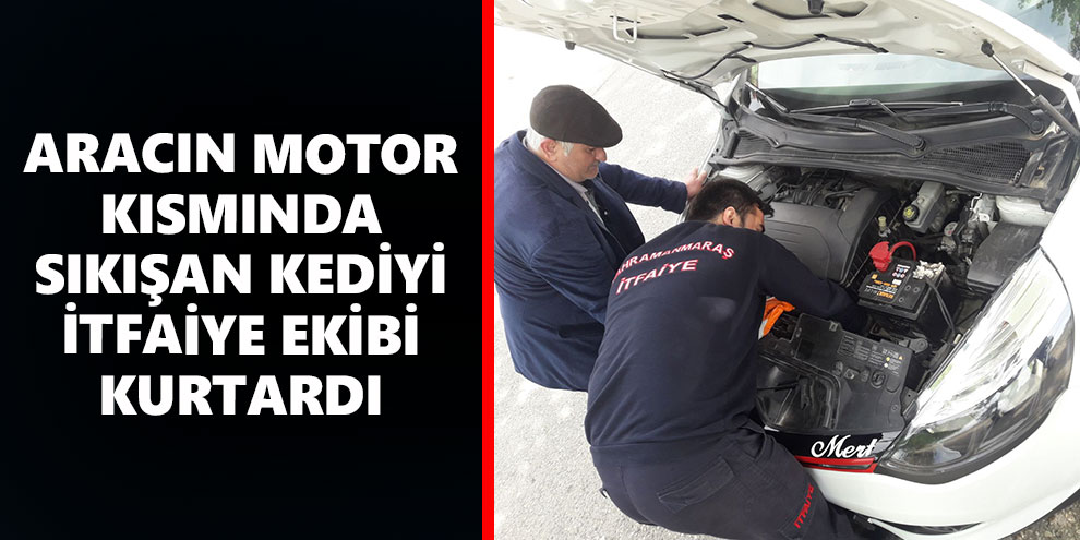 Aracın motor kısmında sıkışan kediyi itfaiye ekibi kurtardı