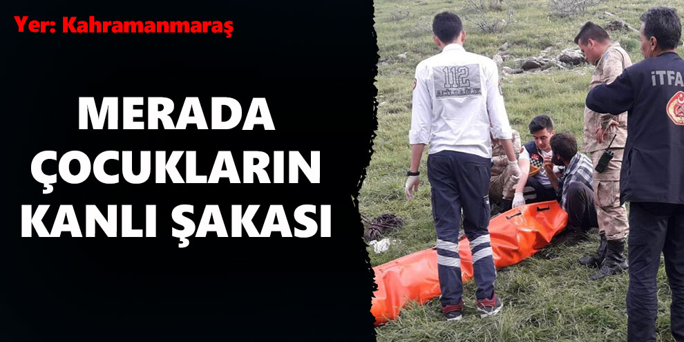 Merada çocukların kanlı şakası
