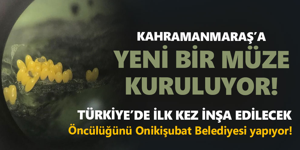 Kahramanmaraş’a yeni bir müze kuruluyor!