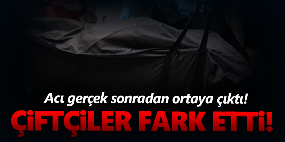 Çiftçiler fark etti! Acı gerçek sonradan ortaya çıktı!