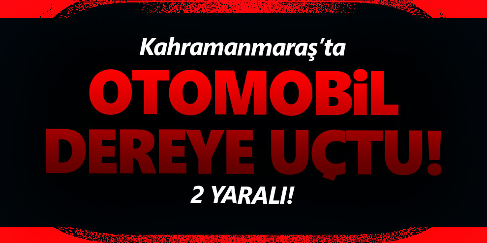Otomobil dereye uçtu: 2 yaralı