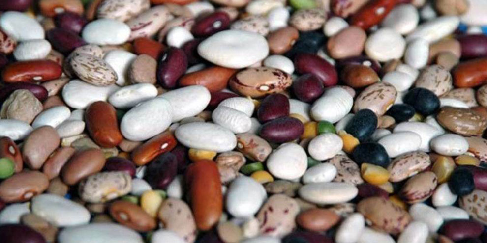 AEÜ öğretim üyesi projesi TÜBİTAK tarafından kabul edildi