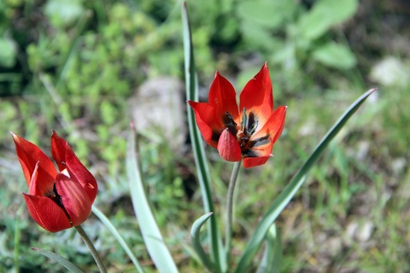 Bunu yapan yandı! Cezası 48 bin TL...