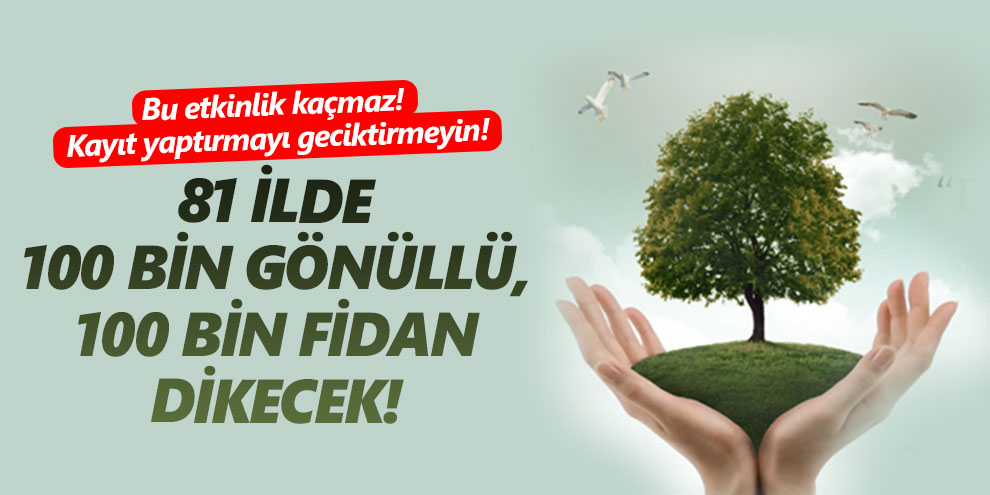 81 ilde 100 bin gönüllü, 100 bin fidan dikecek!