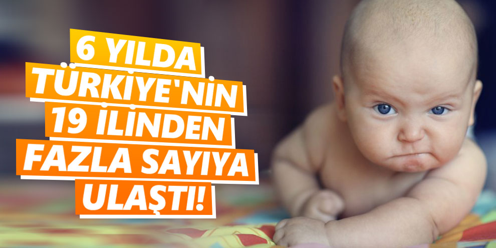 6 yılda Türkiye'nin 19 ilinden fazla sayıya ulaştı!