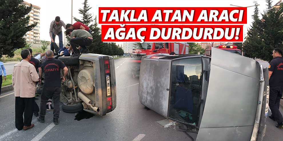 Takla atan aracı ağaç durdurdu!