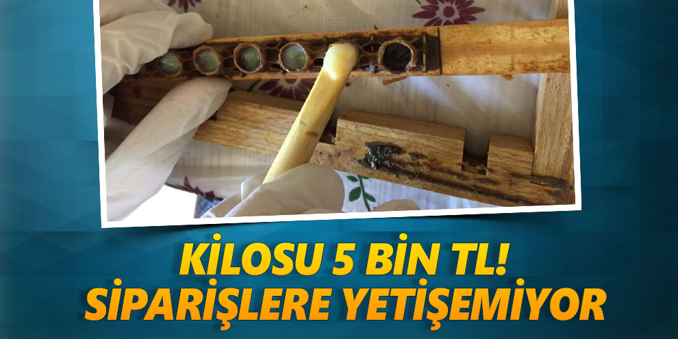 Kilosu 5 bin TL! Siparişlere yetişemiyor
