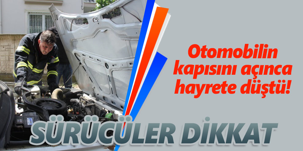 Otomobilin kapısını açınca hayrete düştü! Sürücüler dikkat