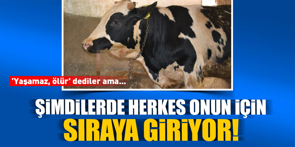 'Yaşamaz, ölür' dediler ama... Şimdilerde herkes onun için sıraya giriyor!