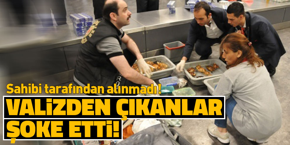 Sahibi tarafından alınmadı! Valizden çıkanlar şoke etti!