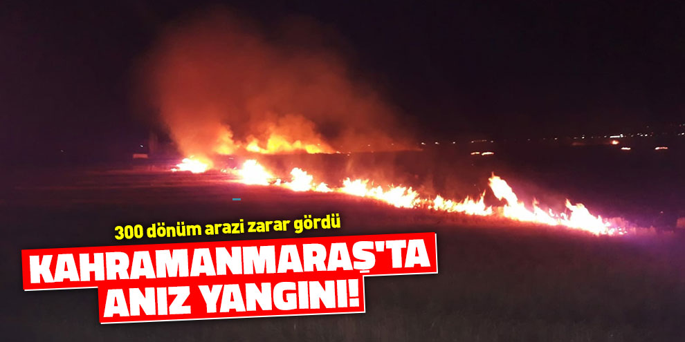 Kahramanmaraş'ta anız yangını!