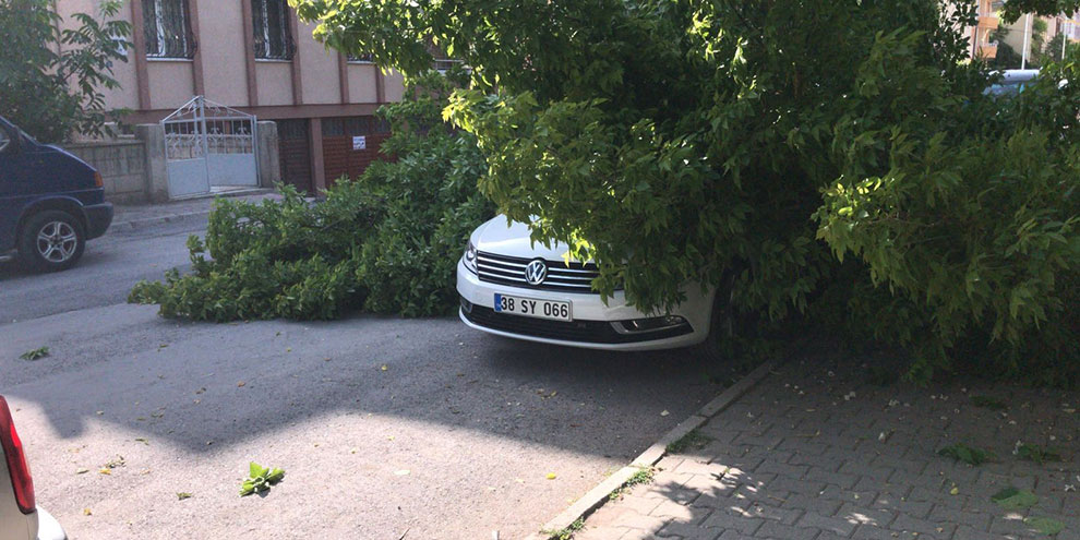 Ağacın dalları lüks aracın üzerine devrildi