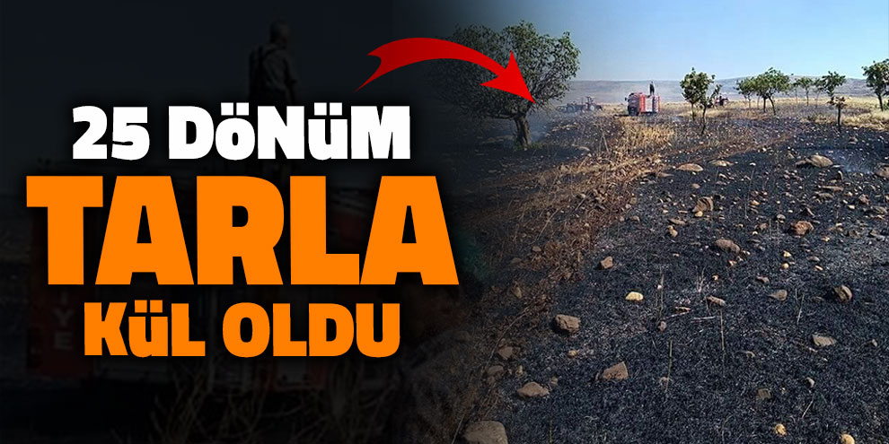 25 dönüm buğday tarlası kül oldu