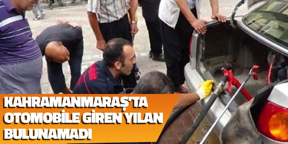 Kahramanmaraş’ta  Otomobile Giren Yılan  Bulunamadı