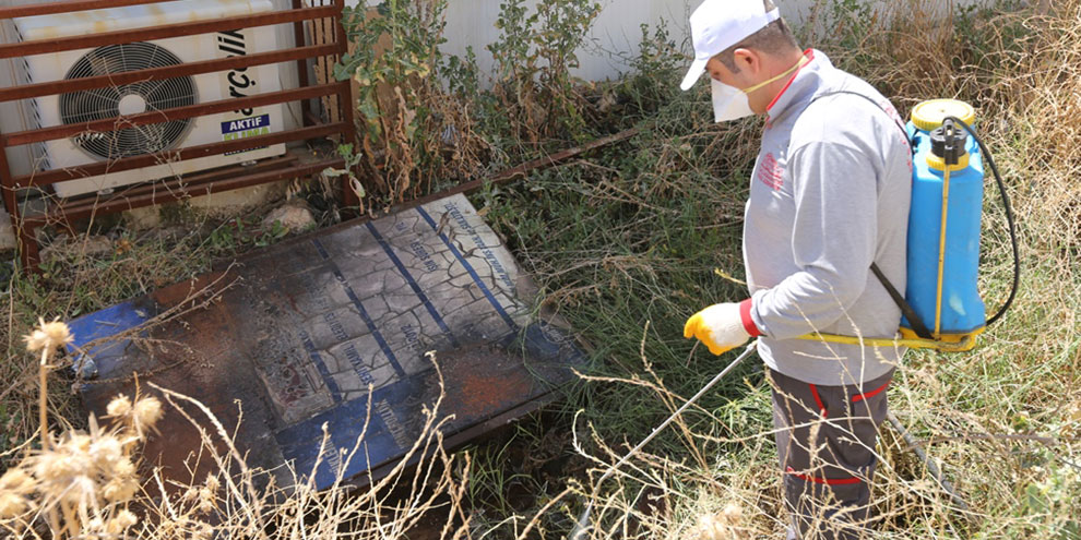 İlaçlama çalışmaları 120 personel ile yapılıyor