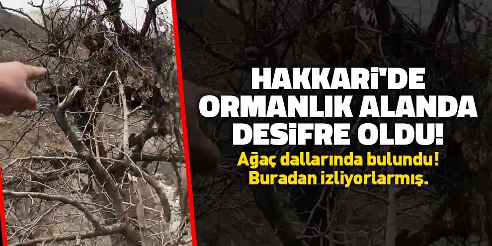 Hakkari'de ormanlık alanda deşifre oldu!