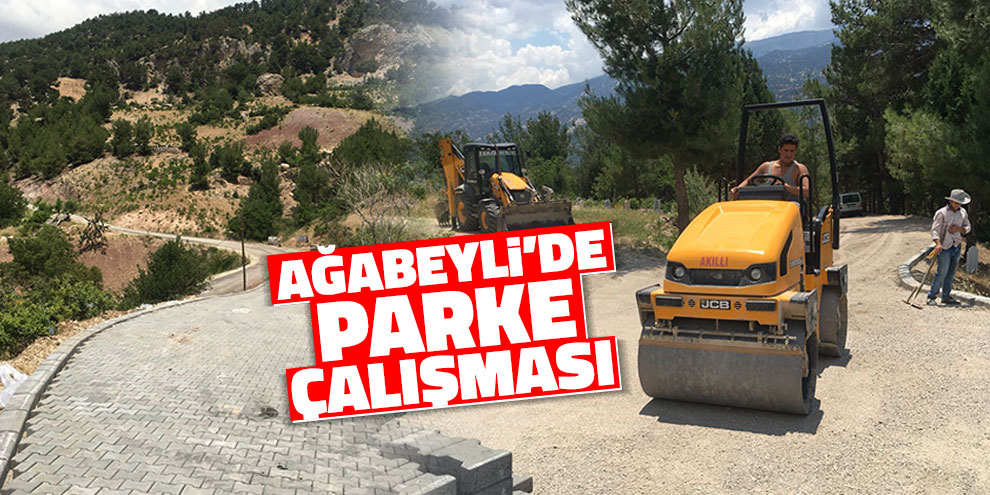 Ağabeyli’de parke çalışması