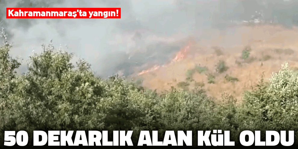Kahramanmaraş'ta yangın! 50 dekarlık alan kül oldu