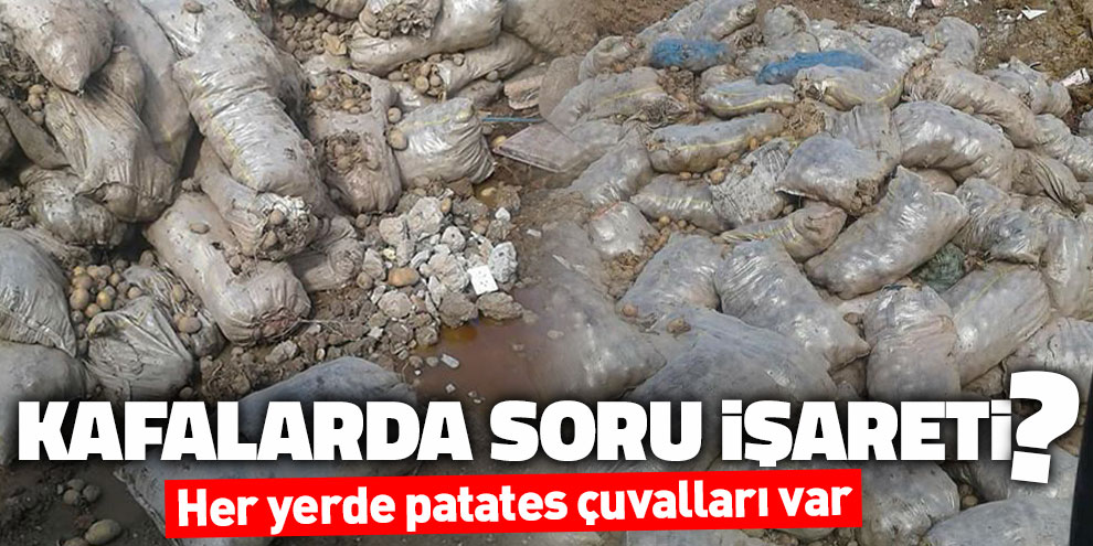 Kafalarda soru işareti olan patates çuvalları