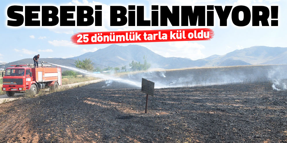 Sebebi bilinmiyor! 25 dönümlük tarla kül oldu