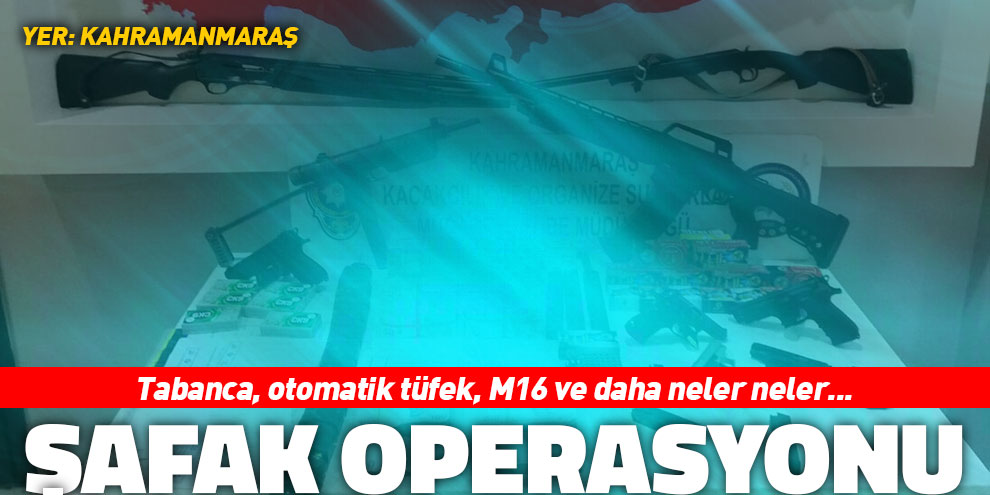 Organize suç örgütüne şafak operasyonu