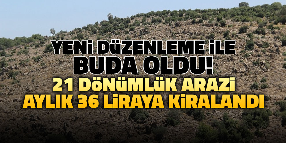 Yeni düzenleme ile buda oldu! 21 dönümlük arazi aylık 36 liraya kiralandı
